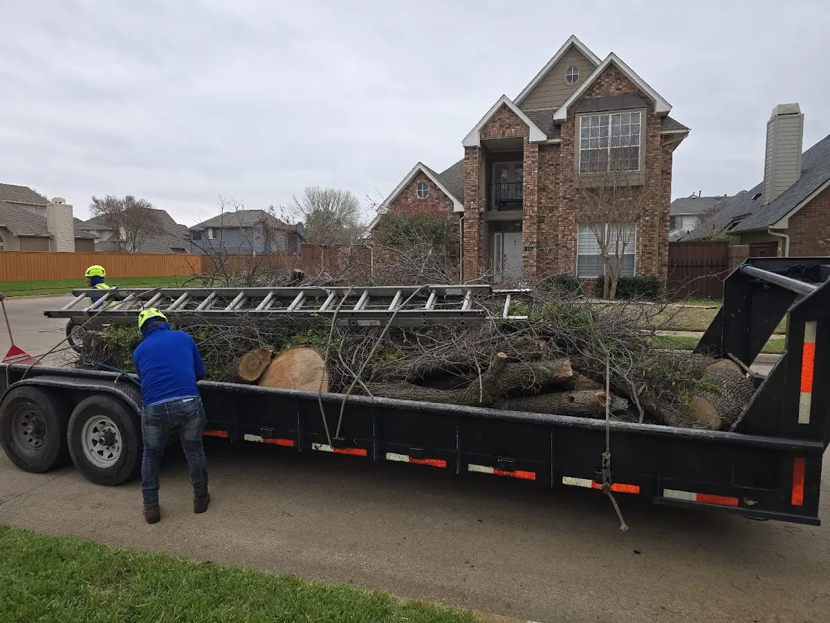 Expert Crown Reduction with proper safety equipment in Edgewood